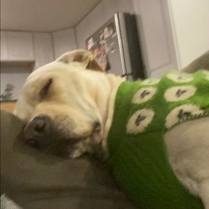 Meet your Posher, Corey